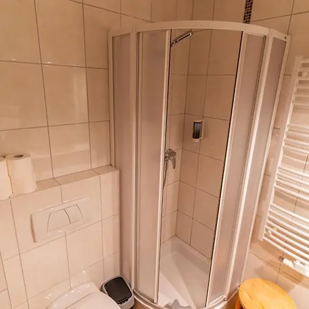 Flasch Apartment Wagrain