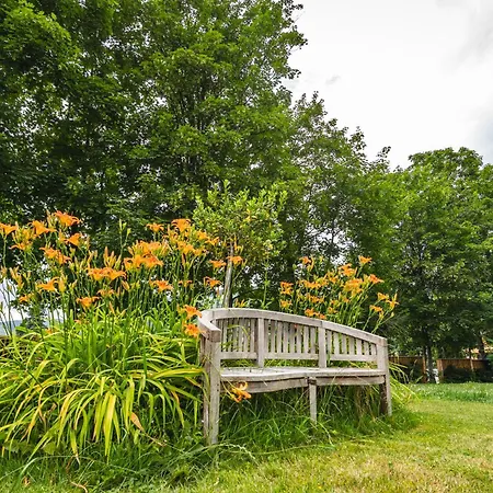 公寓 Flasch 瓦格赖恩